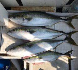 さぶろう丸 釣果