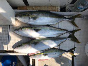 さぶろう丸 釣果