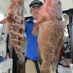 Fisherman Dreams DI 釣果