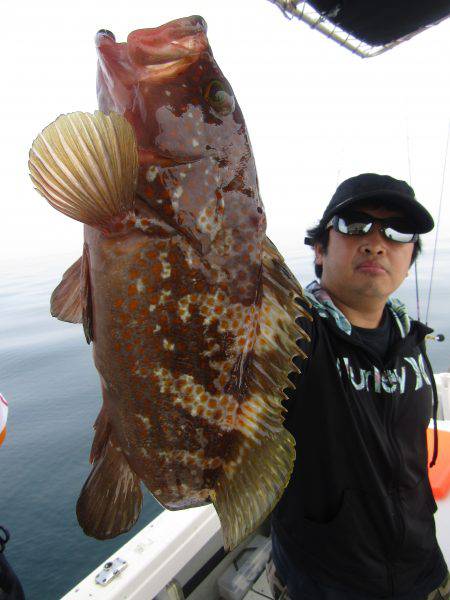 Fisherman Dreams DI 釣果