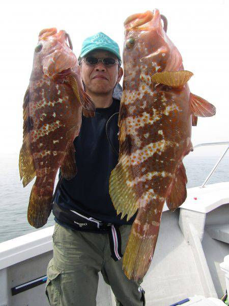 Fisherman Dreams DI 釣果