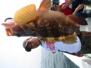 Fisherman Dreams DI 釣果