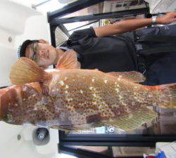 Fisherman Dreams DI 釣果