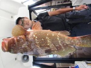 Fisherman Dreams DI 釣果