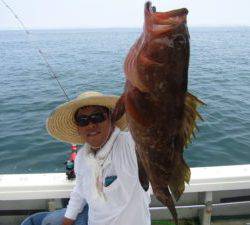 Fisherman Dreams DI 釣果