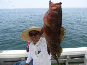 Fisherman Dreams DI 釣果