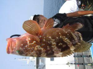 Fisherman Dreams DI 釣果