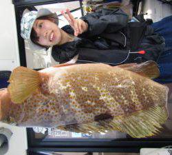 Fisherman Dreams DI 釣果