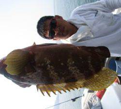 Fisherman Dreams DI 釣果