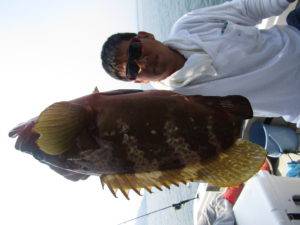 Fisherman Dreams DI 釣果