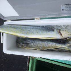 Sea Frend 片山丸 釣果