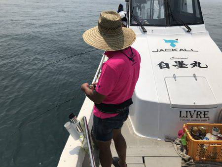 白墨丸 釣果