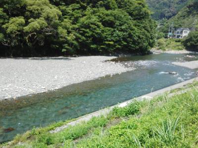 安倍川・藁科川（安倍藁科川漁業協同組合） …