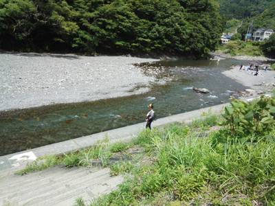 安倍川・藁科川（安倍藁科川漁業協同組合） 釣果