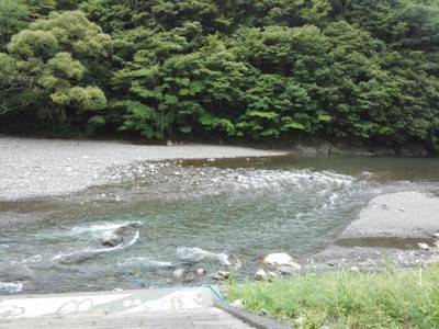 安倍川・藁科川（安倍藁科川漁業協同組合） …