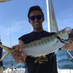 シーマジカル 釣果