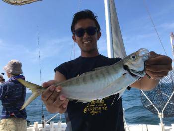 シーマジカル 釣果