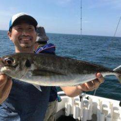 シーマジカル 釣果