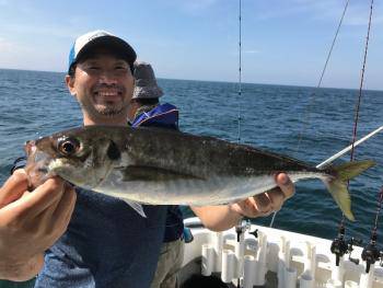 シーマジカル 釣果
