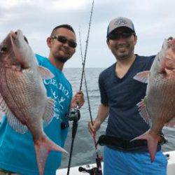 シーマジカル 釣果