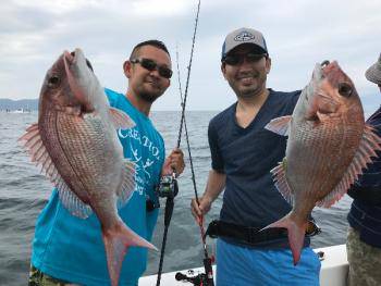 シーマジカル 釣果