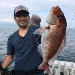 シーマジカル 釣果