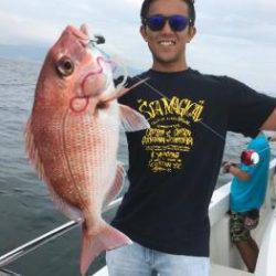 シーマジカル 釣果