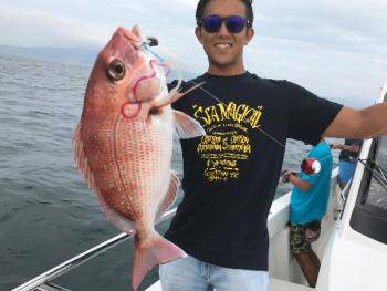 シーマジカル 釣果