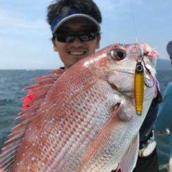 シーマジカル 釣果