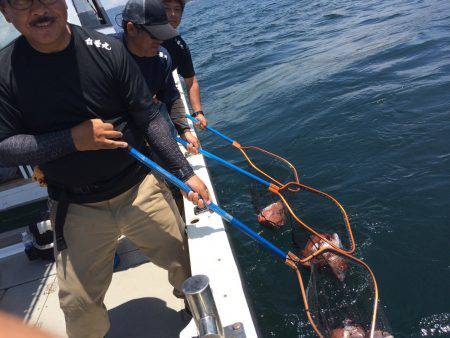 白墨丸 釣果