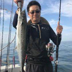 シーマジカル 釣果