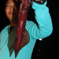 Aquanaut（アクアノート） 釣果