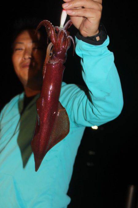 Aquanaut（アクアノート） 釣果