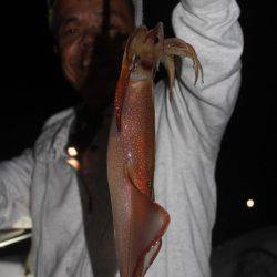 Aquanaut（アクアノート） 釣果