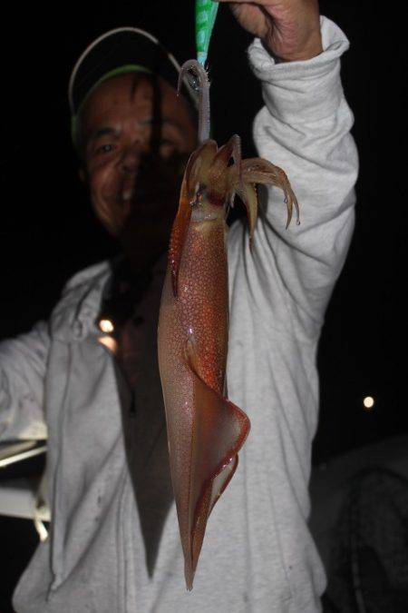 Aquanaut（アクアノート） 釣果