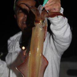 Aquanaut（アクアノート） 釣果