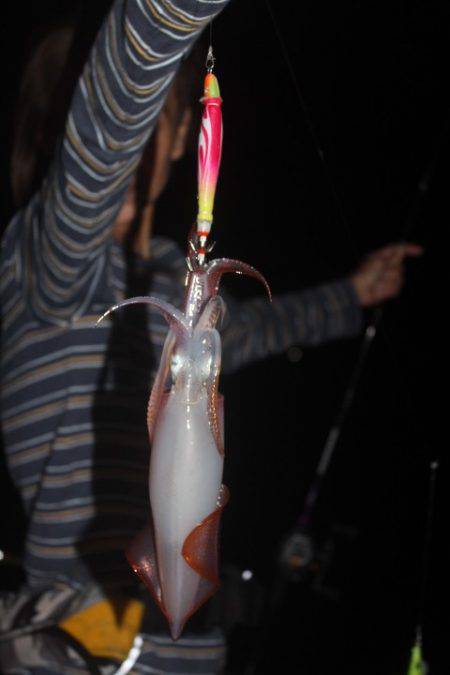 Aquanaut(アクアノート) 釣果