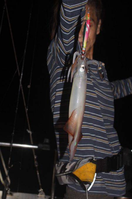 Aquanaut(アクアノート) 釣果