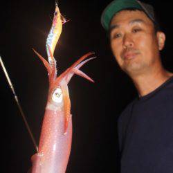 Aquanaut(アクアノート) 釣果