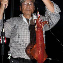 Aquanaut（アクアノート） 釣果