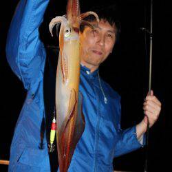 Aquanaut（アクアノート） 釣果