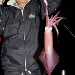 Aquanaut（アクアノート） 釣果