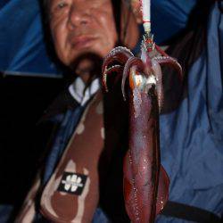 Aquanaut（アクアノート） 釣果