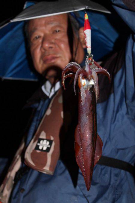 Aquanaut（アクアノート） 釣果