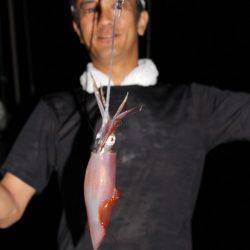 Aquanaut（アクアノート） 釣果