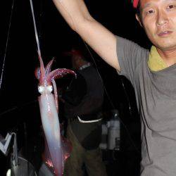 Aquanaut（アクアノート） 釣果