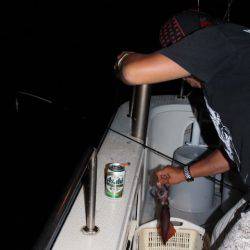 Aquanaut(アクアノート) 釣果