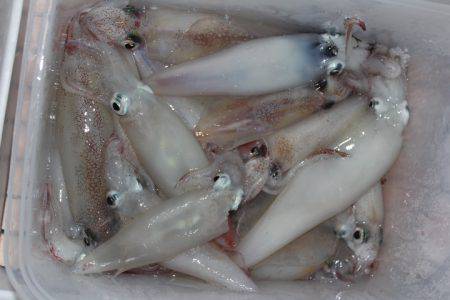 Aquanaut(アクアノート) 釣果