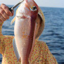 Aquanaut(アクアノート) 釣果