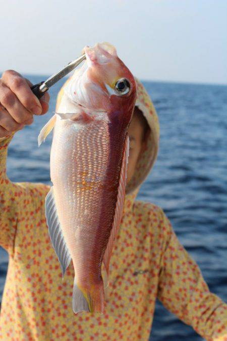 Aquanaut(アクアノート) 釣果